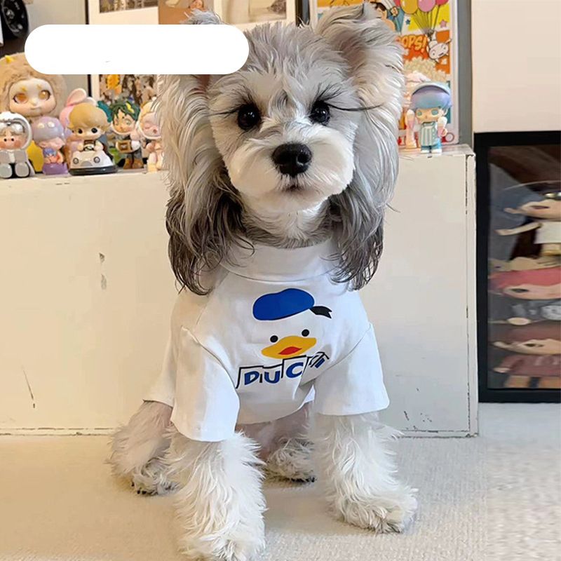 Cartoon Sailor Duck 